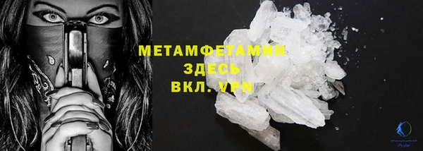прущие грибы Переславль-Залесский