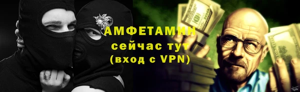 прущие грибы Переславль-Залесский