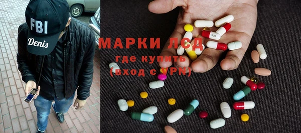 прущие грибы Переславль-Залесский