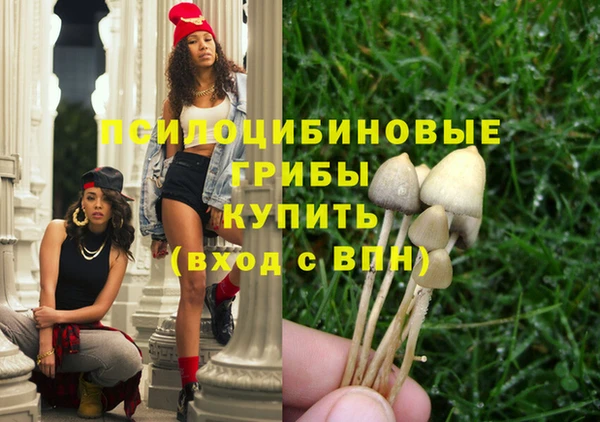 эйфоретик Абаза