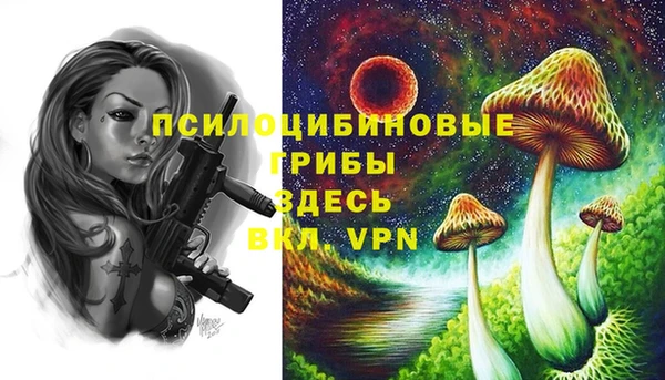 MDMA Premium VHQ Абинск